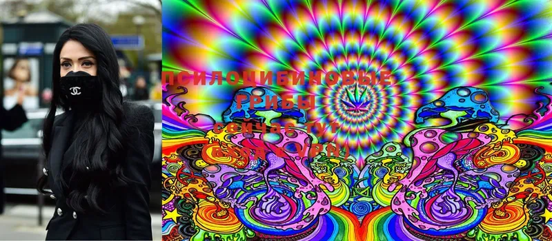 Галлюциногенные грибы MAGIC MUSHROOMS Азнакаево